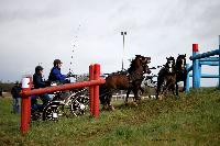 Photo n 38671&#10;CAI Lisieux 2017. Photo Chevalandrieu&#10;Rene LIMPENS. NED&#10;Affiche 18 fois&#10;Ajoute le 11/03/2017 17:29:18 par Nadinetoudic&#10;&#10;--> Cliquer pour agrandir <--