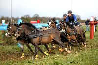 Photo n 38672&#10;CAI Lisieux 2017. Photo Chevalandrieu&#10;Rene LIMPENS. NED&#10;Affiche 26 fois&#10;Ajoute le 11/03/2017 17:29:18 par Nadinetoudic&#10;&#10;--> Cliquer pour agrandir <--