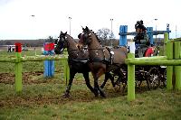 Photo n 38673&#10;CAI Lisieux 2017. Photo Chevalandrieu&#10;Jean-Frdric SELLE. FRA&#10;Affiche 16 fois&#10;Ajoute le 11/03/2017 17:29:18 par Nadinetoudic&#10;&#10;--> Cliquer pour agrandir <--