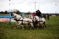 Photo n 38675&#10;CAI Lisieux 2017. Photo Chevalandrieu&#10;Bert VAN DEN BOSCH. BEL&#10;Affiche 15 fois&#10;Ajoute le 11/03/2017 17:29:18 par Nadinetoudic&#10;&#10;--> Cliquer pour agrandir <--