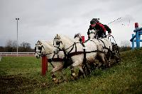 Photo n 38676&#10;CAI Lisieux 2017. Photo Chevalandrieu&#10;Bert VAN DEN BOSCH. BEL&#10;Affiche 15 fois&#10;Ajoute le 11/03/2017 17:29:18 par Nadinetoudic&#10;&#10;--> Cliquer pour agrandir <--