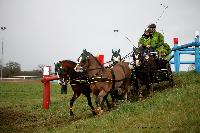 Photo n 38677&#10;CAI Lisieux 2017. Photo Chevalandrieu&#10;Tinne BAX. BEL&#10;Affiche 15 fois&#10;Ajoute le 11/03/2017 17:29:18 par Nadinetoudic&#10;&#10;--> Cliquer pour agrandir <--