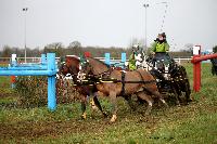 Photo n 38678&#10;CAI Lisieux 2017. Photo Chevalandrieu&#10;Tinne BAX. BEL&#10;Affiche 14 fois&#10;Ajoute le 11/03/2017 17:29:18 par Nadinetoudic&#10;&#10;--> Cliquer pour agrandir <--