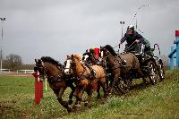 Photo n 38680&#10;CAI Lisieux 2017. Photo Chevalandrieu&#10;Maryse HAMMINK. NED&#10;Affiche 18 fois&#10;Ajoute le 11/03/2017 17:29:18 par Nadinetoudic&#10;&#10;--> Cliquer pour agrandir <--