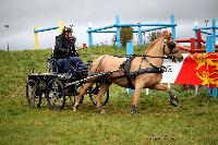 Photo n 38682&#10;CAI Lisieux 2017. Photo Chevalandrieu&#10;Gilles PIROTTE. BEL&#10;Affiche 28 fois&#10;Ajoute le 11/03/2017 17:31:01 par Nadinetoudic&#10;&#10;--> Cliquer pour agrandir <--