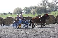 Photo n 38786&#10;Bois de Lihus 2017&#10;&#10;Affiche 15 fois&#10;Ajoute le 26/03/2017 18:38:28 par JeanClaudeGrognet&#10;&#10;--> Cliquer pour agrandir <--