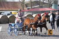 Photo n 38788&#10;Bois de Lihus 2017&#10;&#10;Affiche 22 fois&#10;Ajoute le 26/03/2017 18:38:28 par JeanClaudeGrognet&#10;&#10;--> Cliquer pour agrandir <--