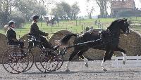 Photo n 38800&#10;Bois de Lihus 2017&#10;&#10;Affiche 19 fois&#10;Ajoute le 26/03/2017 18:38:28 par JeanClaudeGrognet&#10;&#10;--> Cliquer pour agrandir <--