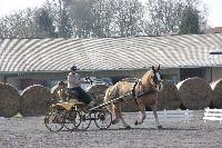 Photo n 38814&#10;Bois de Lihus 2017&#10;&#10;Affiche 12 fois&#10;Ajoute le 26/03/2017 18:38:29 par JeanClaudeGrognet&#10;&#10;--> Cliquer pour agrandir <--