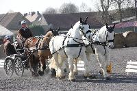 Photo n 38839&#10;Bois de Lihus 2017&#10;&#10;Affiche 12 fois&#10;Ajoute le 26/03/2017 18:38:30 par JeanClaudeGrognet&#10;&#10;--> Cliquer pour agrandir <--