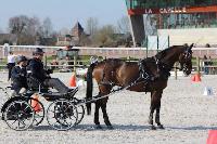 Photo n 38882&#10;La Capelle 2017&#10;&#10;Affiche 2 fois&#10;Ajoute le 01/04/2017 19:56:59 par Mickael&#10;&#10;--> Cliquer pour agrandir <--