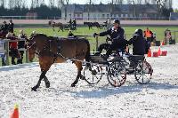 Photo n 38917&#10;La Capelle 2017&#10;&#10;Affiche 6 fois&#10;Ajoute le 01/04/2017 19:57:32 par Mickael&#10;&#10;--> Cliquer pour agrandir <--