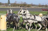 Photo n 38924&#10;&#10;&#10;Affiche 12 fois&#10;Ajoute le 01/04/2017 21:08:53 par Mickael&#10;&#10;--> Cliquer pour agrandir <--
