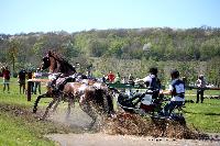 Photo n 39034&#10;Evreux 2017. Photo Chevalandrieu&#10;Catherine RECHER&#10;Affiche 16 fois&#10;Ajoute le 14/04/2017 16:27:33 par Nadinetoudic&#10;&#10;--> Cliquer pour agrandir <--