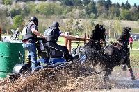 Photo n 39035&#10;Evreux 2017. Photo Chevalandrieu&#10;Daniel DIMER&#10;Affiche 15 fois&#10;Ajoute le 14/04/2017 16:27:33 par Nadinetoudic&#10;&#10;--> Cliquer pour agrandir <--