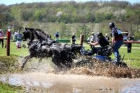 Photo n° 39036
Evreux 2017. Photo Chevalandrieu
Daniel DIMER
Affichée 13 fois
Ajoutée le 14/04/2017 16:27:33 par Nadinetoudic

--> Cliquer pour agrandir <--