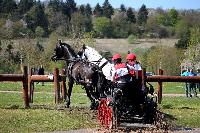 Photo n° 39037
Evreux 2017. Photo Chevalandrieu
Julien NOTTRET
Affichée 18 fois
Ajoutée le 14/04/2017 16:27:33 par Nadinetoudic

--> Cliquer pour agrandir <--