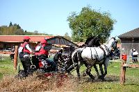 Photo n° 39038
Evreux 2017. Photo Chevalandrieu
Julien NOTTRET
Affichée 14 fois
Ajoutée le 14/04/2017 16:27:33 par Nadinetoudic

--> Cliquer pour agrandir <--