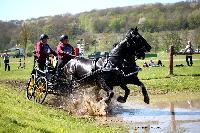 Photo n° 39039
Evreux 2017. Photo Chevalandrieu
Diane DELMAS
Affichée 17 fois
Ajoutée le 14/04/2017 16:27:33 par Nadinetoudic

--> Cliquer pour agrandir <--