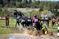 Photo n 39040&#10;Evreux 2017. Photo Chevalandrieu&#10;Diane DELMAS&#10;Affiche 12 fois&#10;Ajoute le 14/04/2017 16:27:34 par Nadinetoudic&#10;&#10;--> Cliquer pour agrandir <--