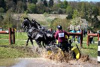 Photo n° 39040
Evreux 2017. Photo Chevalandrieu
Diane DELMAS
Affichée 12 fois
Ajoutée le 14/04/2017 16:27:34 par Nadinetoudic

--> Cliquer pour agrandir <--