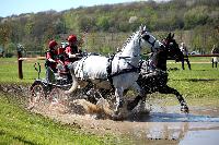 Photo n 39041&#10;Evreux 2017. Photo Chevalandrieu&#10;Grard DUPONT&#10;Affiche 14 fois&#10;Ajoute le 14/04/2017 16:27:34 par Nadinetoudic&#10;&#10;--> Cliquer pour agrandir <--