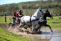 Photo n° 39041
Evreux 2017. Photo Chevalandrieu
Gérard DUPONT
Affichée 12 fois
Ajoutée le 14/04/2017 16:27:34 par Nadinetoudic

--> Cliquer pour agrandir <--