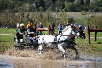 Photo n 39043&#10;Evreux 2017. Photo Chevalandrieu&#10;Susan HAWES&#10;Affiche 12 fois&#10;Ajoute le 14/04/2017 16:27:34 par Nadinetoudic&#10;&#10;--> Cliquer pour agrandir <--