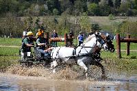 Photo n° 39043
Evreux 2017. Photo Chevalandrieu
Susan HAWES
Affichée 12 fois
Ajoutée le 14/04/2017 16:27:34 par Nadinetoudic

--> Cliquer pour agrandir <--