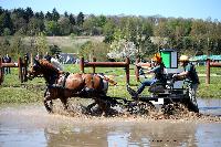 Photo n° 39044
Evreux 2017. Photo Chevalandrieu
Susan HAWES
Affichée 9 fois
Ajoutée le 14/04/2017 16:27:34 par Nadinetoudic

--> Cliquer pour agrandir <--