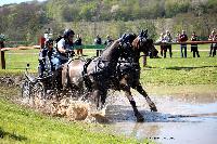 Photo n° 39045
Evreux 2017. Photo Chevalandrieu
Marc MENET
Affichée 20 fois
Ajoutée le 14/04/2017 16:27:34 par Nadinetoudic

--> Cliquer pour agrandir <--