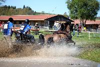 Photo n° 39048
Evreux 2017. Photo Chevalandrieu
Sébastien VINCENT
Affichée 9 fois
Ajoutée le 14/04/2017 16:27:34 par Nadinetoudic

--> Cliquer pour agrandir <--