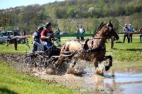 Photo n 39049&#10;Evreux 2017. Photo Chevalandrieu&#10;Clment DESCHAMPS&#10;Affiche 12 fois&#10;Ajoute le 14/04/2017 16:27:34 par Nadinetoudic&#10;&#10;--> Cliquer pour agrandir <--