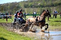 Photo n° 39049
Evreux 2017. Photo Chevalandrieu
Clément DESCHAMPS
Affichée 10 fois
Ajoutée le 14/04/2017 16:27:34 par Nadinetoudic

--> Cliquer pour agrandir <--