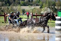 Photo n° 39052
Evreux 2017. Photo Chevalandrieu
Romain HERVE
Affichée 6 fois
Ajoutée le 14/04/2017 16:27:34 par Nadinetoudic

--> Cliquer pour agrandir <--