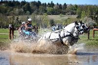 Photo n° 39053
Evreux 2017. Photo Chevalandrieu
Sylvain MASSON
Affichée 13 fois
Ajoutée le 14/04/2017 16:27:34 par Nadinetoudic

--> Cliquer pour agrandir <--