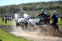 Photo n° 39054
Evreux 2017. Photo Chevalandrieu
Sylvain MASSON
Affichée 6 fois
Ajoutée le 14/04/2017 16:27:34 par Nadinetoudic

--> Cliquer pour agrandir <--