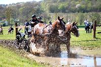 Photo n° 39057
Evreux 2017. Photo Chevalandrieu
Patrick DESBOIS
Affichée 19 fois
Ajoutée le 14/04/2017 16:27:34 par Nadinetoudic

--> Cliquer pour agrandir <--