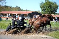 Photo n 39058&#10;Evreux 2017. Photo Chevalandrieu&#10;Patrick DESBOIS&#10;Affiche 15 fois&#10;Ajoute le 14/04/2017 16:27:34 par Nadinetoudic&#10;&#10;--> Cliquer pour agrandir <--