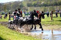 Photo n° 39059
Evreux 2017. Photo Chevalandrieu
Jean-Frédéric SELLE
Affichée 13 fois
Ajoutée le 14/04/2017 16:27:34 par Nadinetoudic

--> Cliquer pour agrandir <--