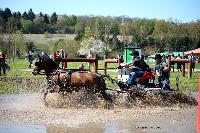 Photo n° 39060
Evreux 2017. Photo Chevalandrieu
Jean-Frédéric SELLE
Affichée 9 fois
Ajoutée le 14/04/2017 16:27:34 par Nadinetoudic

--> Cliquer pour agrandir <--