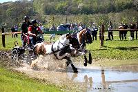 Photo n° 39061
Evreux 2017. Photo Chevalandrieu
Richard FERRE
Affichée 13 fois
Ajoutée le 14/04/2017 16:27:34 par Nadinetoudic

--> Cliquer pour agrandir <--