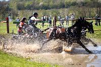 Photo n° 39063
Evreux 2017. Photo Chevalandrieu
Antoine JEANSON
Affichée 25 fois
Ajoutée le 14/04/2017 16:27:34 par Nadinetoudic

--> Cliquer pour agrandir <--