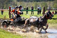 Photo n° 39065
Evreux 2017. Photo Chevalandrieu
Valentine LENORMAND
Affichée 16 fois
Ajoutée le 14/04/2017 16:27:35 par Nadinetoudic

--> Cliquer pour agrandir <--