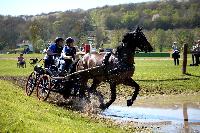 Photo n° 39069
Evreux 2017. Photo Chevalandrieu
Marion VIGNAUD
Affichée 10 fois
Ajoutée le 14/04/2017 16:27:35 par Nadinetoudic

--> Cliquer pour agrandir <--