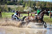 Photo n 39070&#10;Evreux 2017. Photo Chevalandrieu&#10;Marion VIGNAUD&#10;Affiche 11 fois&#10;Ajoute le 14/04/2017 16:27:35 par Nadinetoudic&#10;&#10;--> Cliquer pour agrandir <--