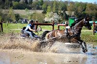 Photo n° 39070
Evreux 2017. Photo Chevalandrieu
Marion VIGNAUD
Affichée 9 fois
Ajoutée le 14/04/2017 16:27:35 par Nadinetoudic

--> Cliquer pour agrandir <--