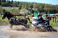 Photo n° 39072
Evreux 2017. Photo Chevalandrieu
Michel VIGNAUD
Affichée 9 fois
Ajoutée le 15/04/2017 15:26:00 par Nadinetoudic

--> Cliquer pour agrandir <--