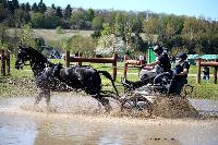 Photo n° 39074
Evreux 2017. Photo Chevalandrieu
François EVRARD
Affichée 8 fois
Ajoutée le 15/04/2017 15:26:00 par Nadinetoudic

--> Cliquer pour agrandir <--