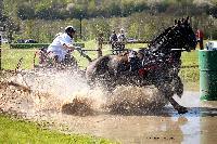 Photo n° 39075
Evreux 2017. Photo Chevalandrieu
Vincent SERAZIN
Affichée 12 fois
Ajoutée le 15/04/2017 15:26:00 par Nadinetoudic

--> Cliquer pour agrandir <--